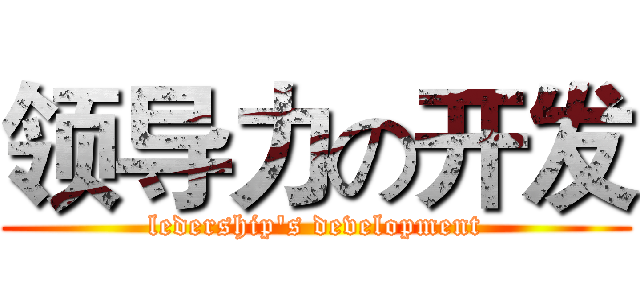 领导力の开发 (ledership's development)