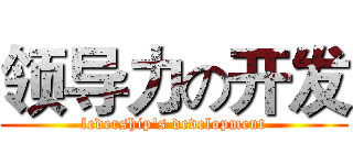 领导力の开发 (ledership's development)