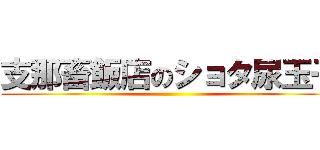 支那畜飯店のショタ尿玉子 ()