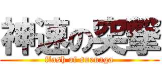神速の突撃 (flash of suenaga)