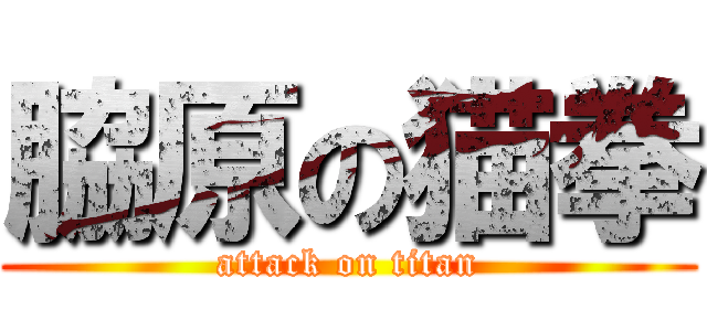 脇原の猫拳 (attack on titan)