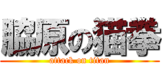 脇原の猫拳 (attack on titan)