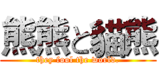 熊熊と貓熊 (they fool the world.)