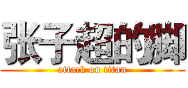 张子超的脚 (attack on titan)