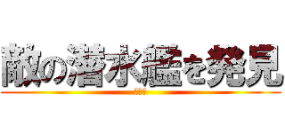 敵の潜水艦を発見 (駄目だ)