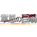 韋恩の巨鵰 (wayne\'s big bird)