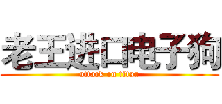 老王进口电子狗 (attack on titan)