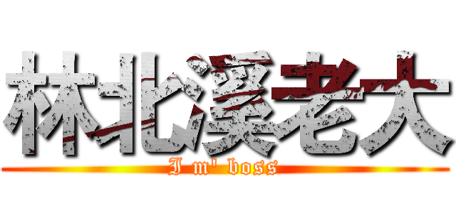 林北溪老大 (I m' boss)