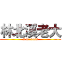 林北溪老大 (I m' boss)