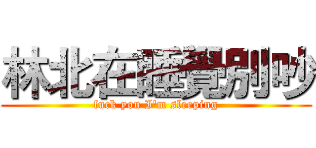 林北在睡覺別吵 (fuck you I'm sleeping)