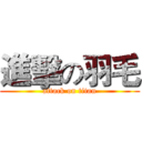 進擊の羽毛 (attack on titan)