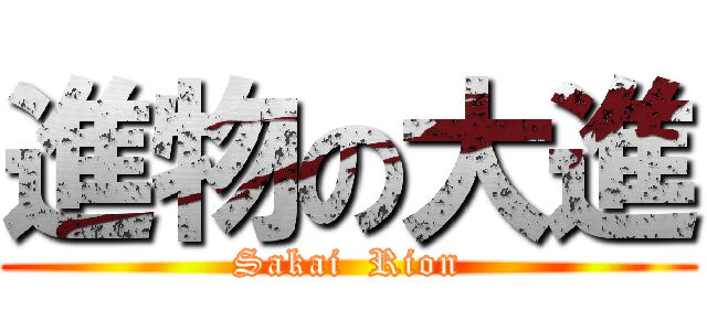 進物の大進 (Sakai  Rion)