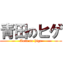 青田のヒゲ (Aota no hige)