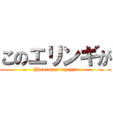 このエリンギが (Pleurotus eryngii)