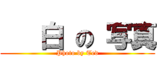    白 の 写真 (Photo by Ted)