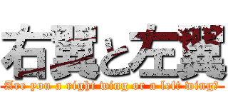 右翼と左翼 (Are you a right wing or a left wing?)