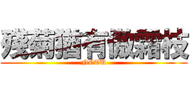 殘菊猶有傲霜枝 (NCTU)