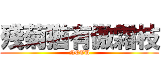 殘菊猶有傲霜枝 (NCTU)