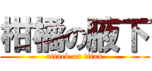 柑橘の腋下 (attack on titan)