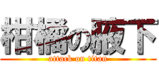 柑橘の腋下 (attack on titan)