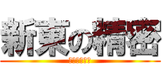 新東の精密 (股份有限公司)
