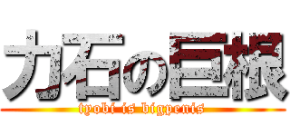 力石の巨根 (tyobi is bigpenis)