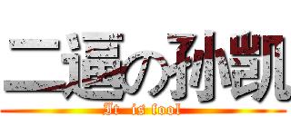 二逼の孙凯 (It  is fool)
