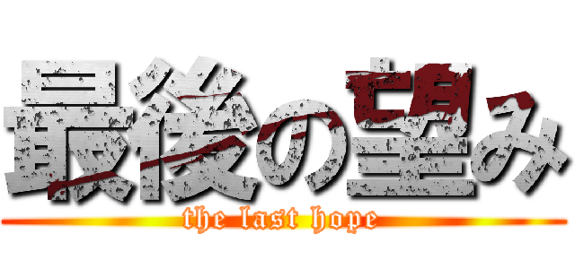 最後の望み (the last hope)