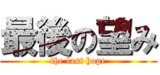 最後の望み (the last hope)