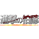 進撃の柏諺 (attack on titan)