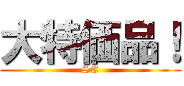 大特価品！ (SE)