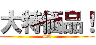 大特価品！ (SE)