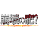 崩壞の肥貓 (Collapse on FatCat)