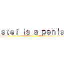 ｓｔｅｆ ｉｓ ａ ｐｅｎｉｓ ()