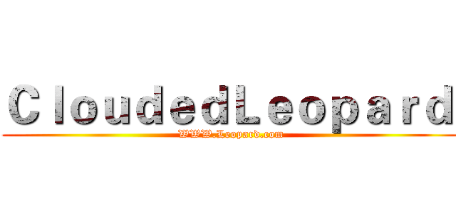 ＣｌｏｕｄｅｄＬｅｏｐａｒｄ  (WWW.Leopard.com)
