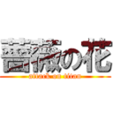 薔薇の花 (attack on titan)