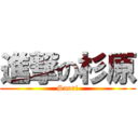 進撃の杉原 (Saori)