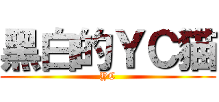 黑白的ＹＣ猫 (YC)