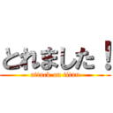 とれました！ (attack on titan)