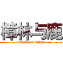 樟林与鹿 (attack on titan)