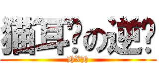 猫耳朵の逆袭 (HXH)