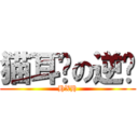 猫耳朵の逆袭 (HXH)