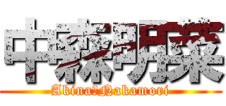 中森明菜 (Akina　Nakamori)