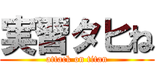 実習タヒね (attack on titan)