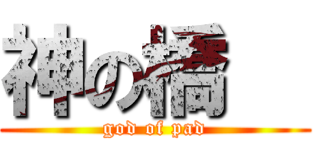 神の橋瑨 (god of pad)