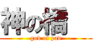 神の橋瑨 (god of pad)