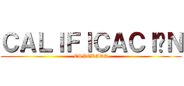 ＣＡＬＩＦＩＣＡＣＩÓＮ (ESPERADA)