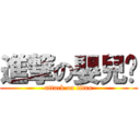 進撃の嬰兒貓 (attack on titan)