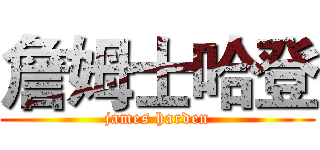 詹姆士哈登 (james harden)