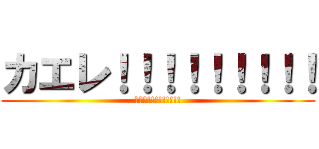 カエレ！！！！！！！！！ (ｶｴﾚ!!!!!!!!!)